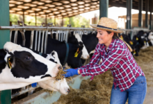 The New Formulary: A Guide to Natural Ingredients in Animal Feed