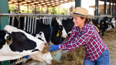 The New Formulary: A Guide to Natural Ingredients in Animal Feed