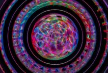 fusion wave begins unlock progressive strategies