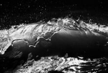 momentum crest start unlocks competitive growth