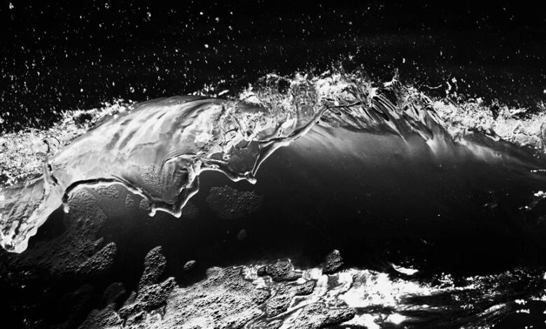 momentum crest start unlocks competitive growth