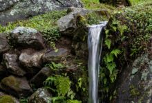 nova flow inspiring bold leadership