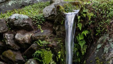 nova flow inspiring bold leadership