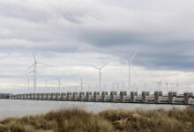 stellar surge start accelerating innovation