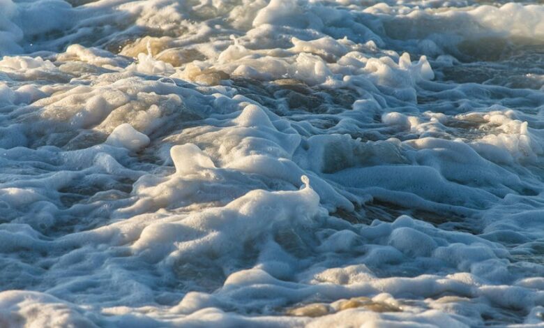 velocity crest start 8884315114 leading progressive change