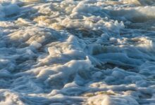 velocity crest start 9 085 855 499 fuel innovation