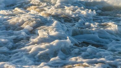 velocity crest start 9 085 855 499 fuel innovation