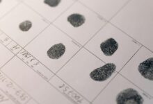 asikrofil digital identity searches