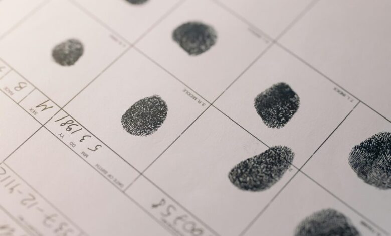 asikrofil digital identity searches