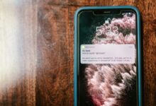 phone verification and spam check results