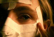 social identity discovery hub