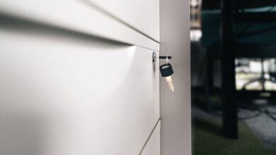 access verified registry entries for specific ids