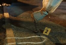 investigation numbers overviews summary