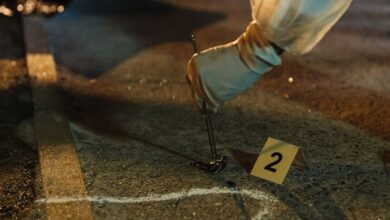 investigation numbers overviews summary