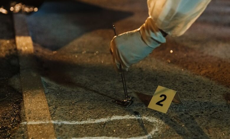 investigation numbers overviews summary