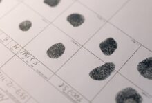 public registry evidence tracks ids