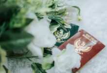 public registry record numbers queried