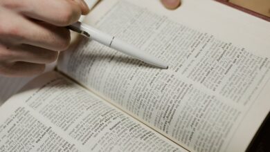registry lookup evidence identifiers listed