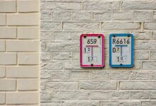 registry numbers for five entries