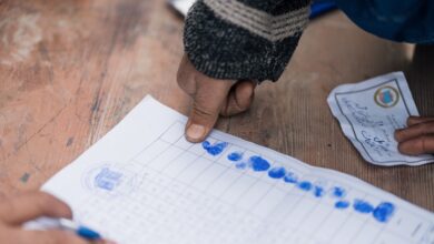 study registry verification reports for listed ids