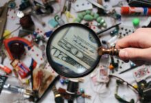 verified registry ids access confirmed