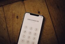 verify specific number records 5 entries